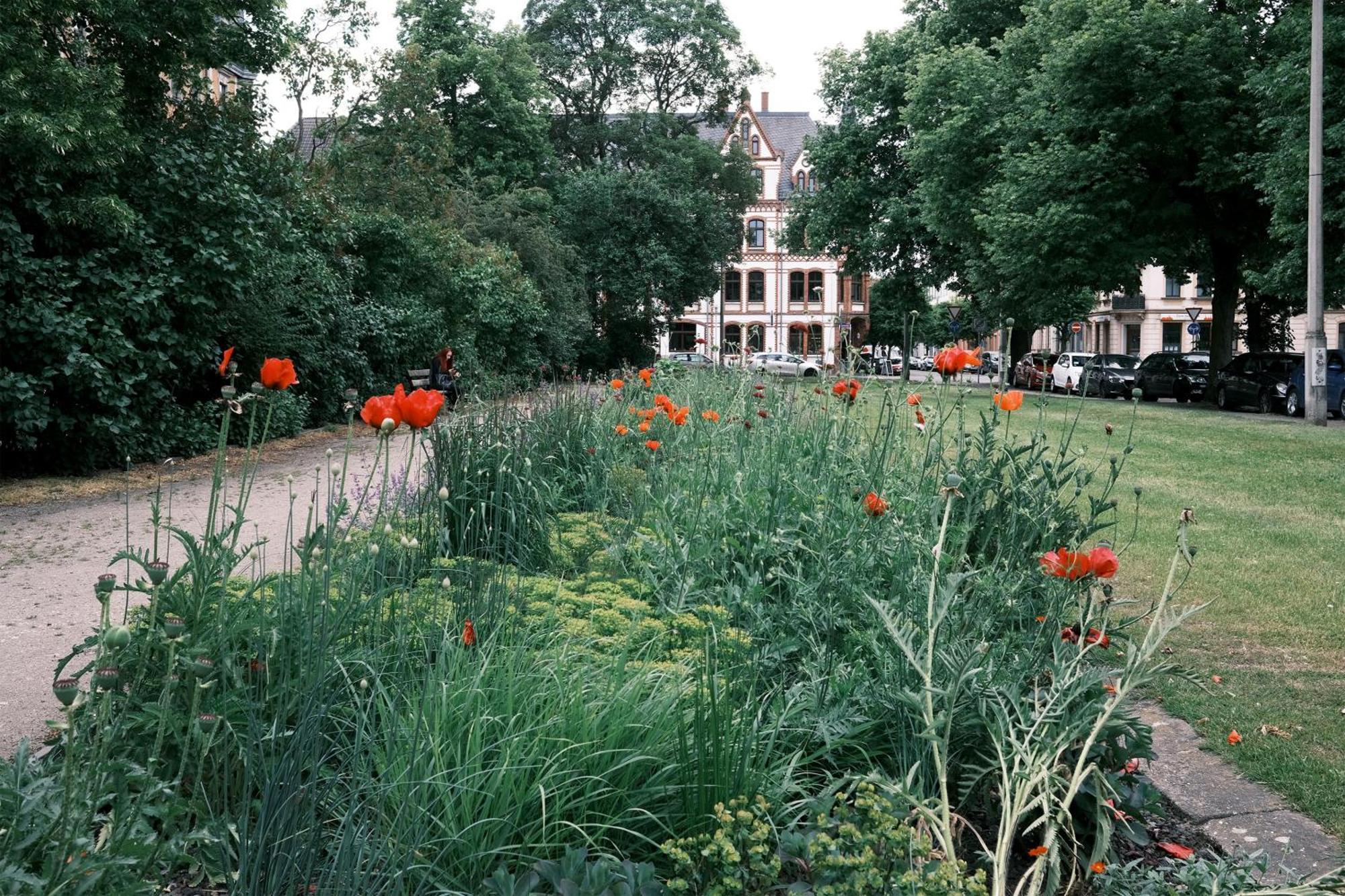 Schickes Apartment In Zwickau Direkt Am Roemerplatz 外观 照片